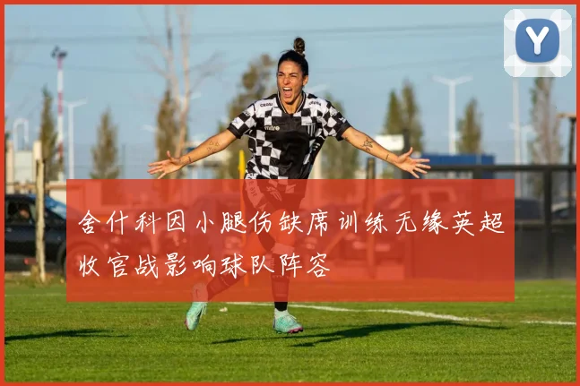 舍什科因小腿伤缺席训练无缘英超收官战影响球队阵容